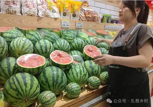 王小瓜吃西瓜视频,趣味横生的夏日美食之旅