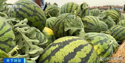 网络上吃瓜,揭秘娱乐圈幕后故事