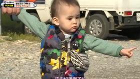 本特利和威廉吃瓜,瓜田奇遇记