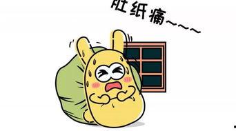 吃瓜群众套装,潮流新宠，趣味生活必备