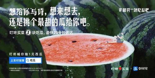 田里吃瓜的文案,夏日田园美味时光