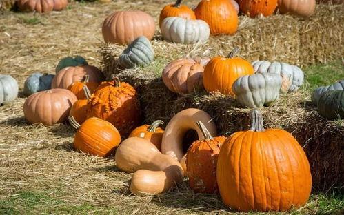 吃瓜姐妹一起来吃瓜,一起畅享欢乐瓜界盛宴