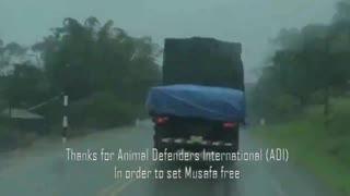 半夜吃瓜视频大全,热门半夜吃瓜视频大盘点