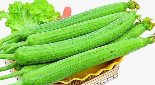 吃瓜仔每天吃多少,揭秘瓜界食量之谜