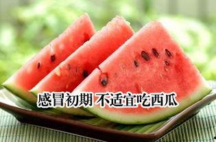 吃瓜初初,揭秘娱乐圈背后的那些事儿