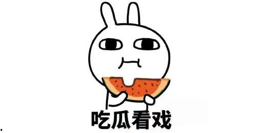 推吃瓜群犯法吗,探讨网络社交中的法律风险