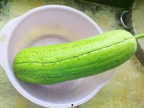 福水瓜怎么吃,解锁健康美味新体验