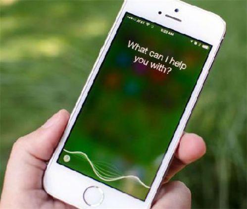 吃瓜的siri,Siri带你领略吃瓜文化