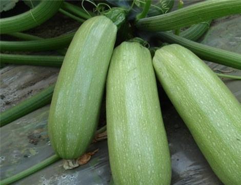 西理工吃瓜,吃瓜群众揭秘校园热点事件