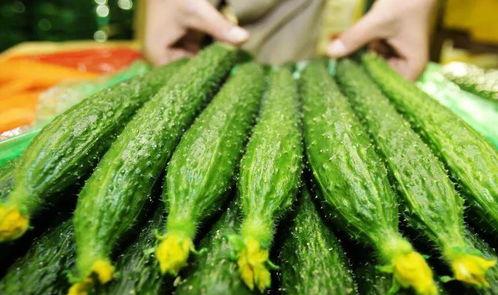 希希pk吃刺瓜,一场别开生面的挑战盛宴