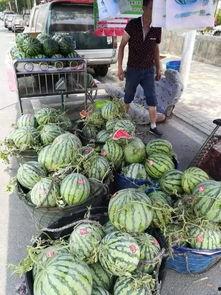 太原直播吃瓜事件,网络直播中的争议瞬间