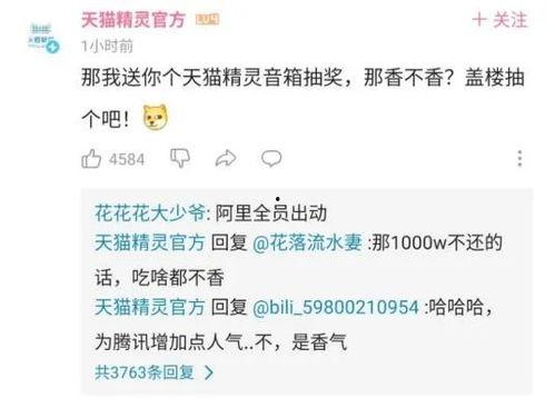 qq吃瓜群进入,网络社交的“瓜田”奇观