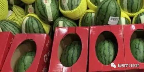 郑州师范吃瓜解说