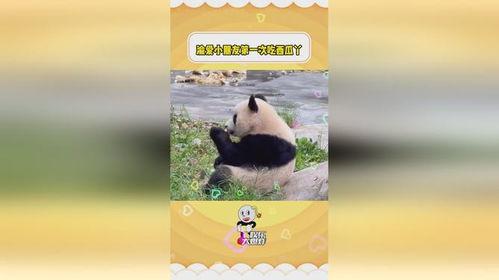 渝爱下班吃瓜,揭秘都市白领的“吃瓜”生活