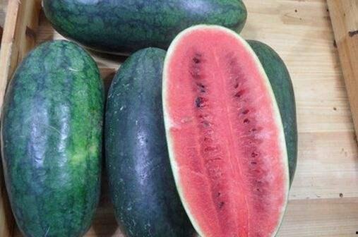 吃黑瓜壳,探寻传统美食的独特魅力