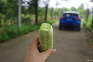 吃瓜不忘扒瓜人,揭秘娱乐圈背后的故事