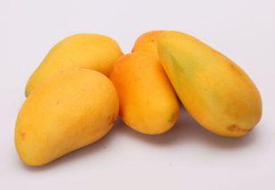 小乳瓜和芒果能同时吃吗,健康搭配，美味共享