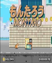 吃瓜 网址,网络热议背后的真相与趣味